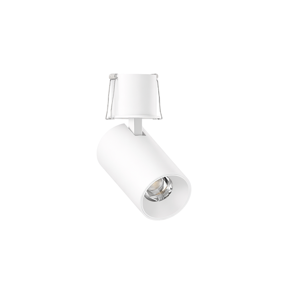 DuraGreen Artfocus 36 Recessed Spotlight